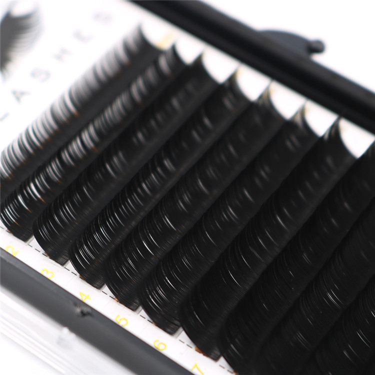 eyelash growth products.JPG